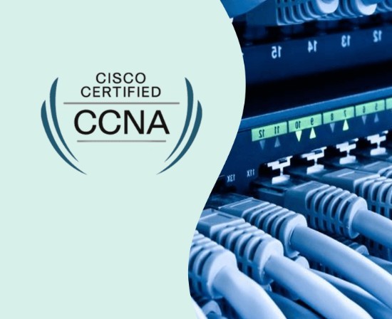 Professional CCNA Training